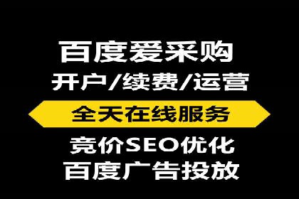 SEM运营公司经典案例点评